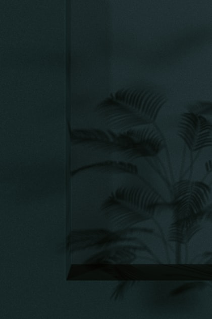 Simple Design for Nature Lovers