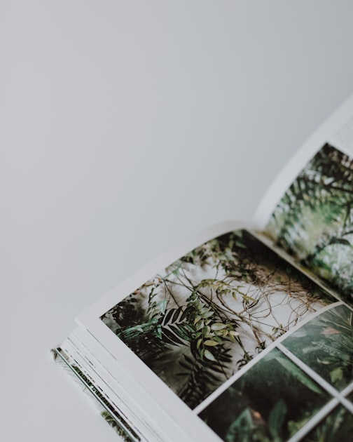 The Art of Naturalism